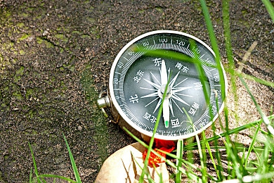 打扑克牌又疼又叫视频软件：极速狂飙智慧对决，虚拟赛道卡牌策略点燃竞速新体验