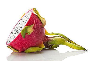 黄色软件下载4.0：数据废墟的极速密钥，解锁闪电黄蜂传奇之旅