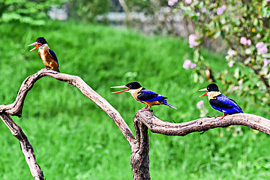 男生和女生一起差网站：极速同心，双人共驾虚拟赛道风云录-2