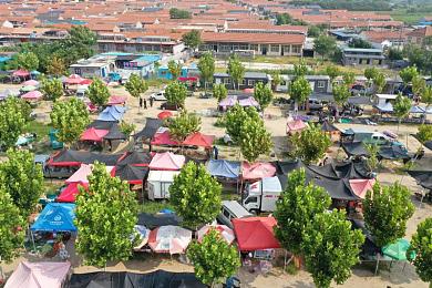 黄色软件下载华为：霓虹轨迹，未来都市竞速与科技改装之旅-2