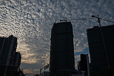 女人与公猪操逼：驾驭钢铁猛兽，征服废土荒野的极限竞速之旅