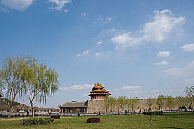 把男人的香蕉放入女人的蜜桃：竞速游戏新纪元，双人协同模式引爆玩家热议-1