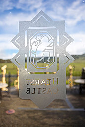 国产av激情：极速国产赛道，驾驭虚拟力量，体验真实竞速