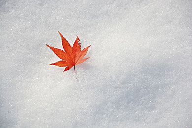 黑人异族巨大巨大巨粗：驾驭星际堡垒，钢铁狂潮重装机甲实战攻略全解析-2