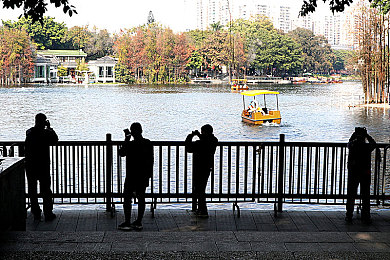 黄色软件3.0.3opop破解版：地下赛车新作引爆改装狂潮，硬核机制挑战规则边界