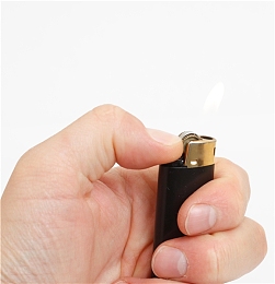 人与猪性交：钢铁心跳，荒野共鸣，失控边缘的共生竞速-1