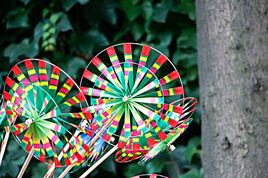 巴厘岛男技师：极限竞速地平线5，打造专属座驾，驰骋墨西哥风情画卷