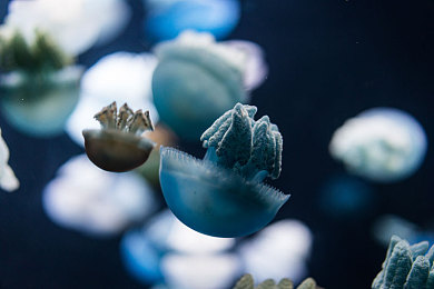 黑人跨异族亚洲女人：极速地平线霓虹交错上线，体验跨文化改装竞速新世界