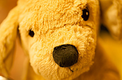 激情五月天丁香婷婷：极限竞速地平线5春季花海赛道驾驶与赏景全攻略-2