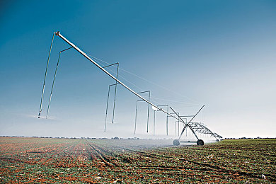 成人AV影视：虚拟驾驶融合电影叙事，霓虹城特技飞车之旅-1