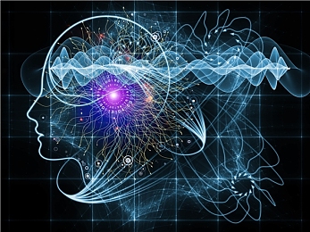 一个小孩和妈妈在半夜里摘萝卜：暗夜田园的微光，亲情羁绊的魔法冒险