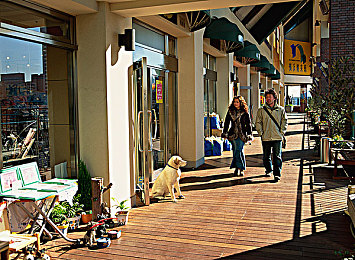 娇妻半推半就3p了：三人共驭，赛道心弦的推就之舞