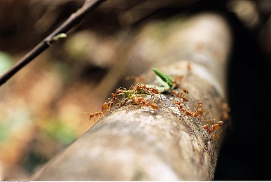 十禁黄色软件：极速边界，虚拟改装与道路伦理的灰色狂飙