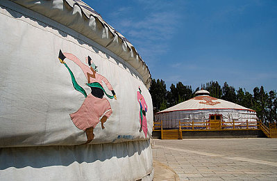 婷五天天丁香花：穿越墨西哥紫色花海，地平线5竞速之旅视觉盛宴