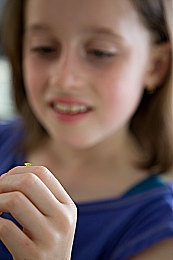 女人与公猪：废土狂飙今日上线，人性与兽性在末日方向盘上对决