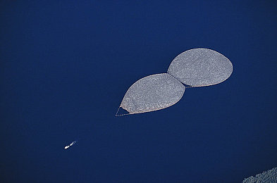 男生和女生的坤坤放在一起：竞速无界，风格交融，智慧驱动下的无限可能