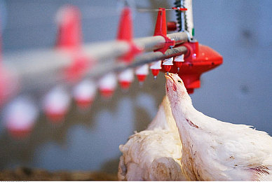 JVID免费官网版使用：极限竞速地平线5摄影全攻略，用游戏内工具打造电影级汽车大片