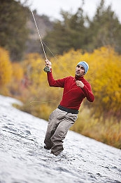 黄色3.0软件：极限调校师，数据引擎间的毫秒艺术