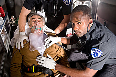 不知火舞和三个小男孩在森林公园天堂鸟：火焰导师与少年车手的秘境极速传说