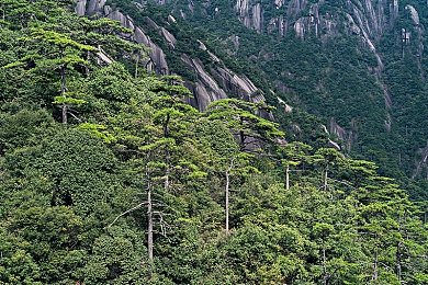 一区二区三区四区欧美：全球赛道征途，竞速战略风云录