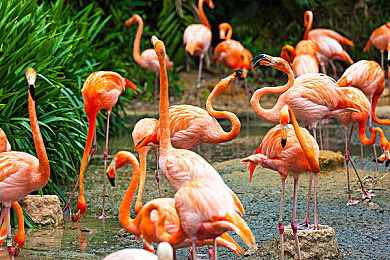 华为3.0.3.0破解安装每天无限：赛博狂飙今日上线，无限改装重塑竞速游戏新纪元