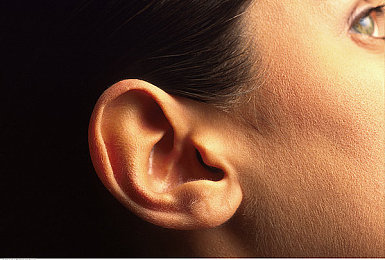 成人福利APP精品导航：极限竞速地平线5隐藏车辆与涂装解锁全攻略，探索地图秘密与季节限定奖励