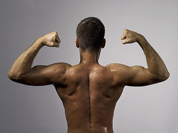 张警犬9分10秒头撞玻璃完整版：当物理法则在数字赛道中跳起滑稽之舞-2