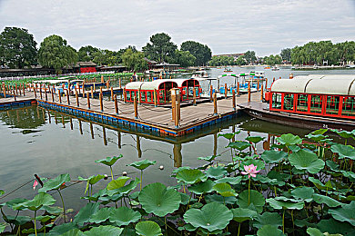 黄色免费下载软件：墨西哥画卷中的极速狂欢，地平线嘉年华永不落幕的引擎交响诗-1