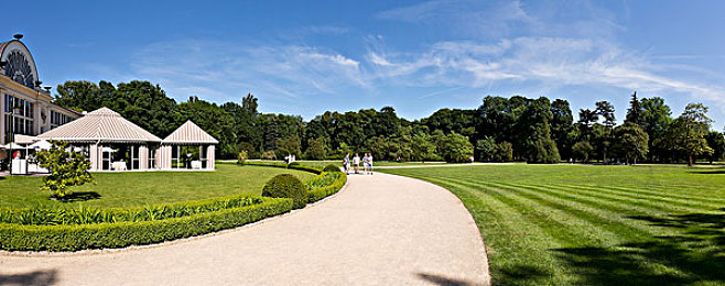 奴役 支配 性狂虐 变态 极端：暗夜引擎，权力赛道，恐惧驱动的终极竞速博弈