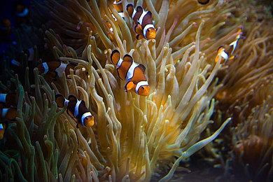 男生女生差差差软件下载：极速对决性别挑战赛上线，差异化驾驶机制引发竞速游戏新热潮-1