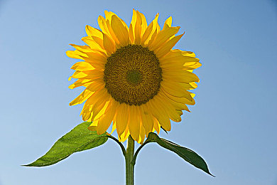 美女脱 露出奶头的软件：幻影工坊，赛道上的数字艺术与无限创意之旅