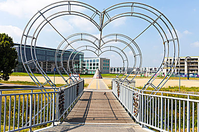 黄色APP下载每天3.0.3：霓虹峡谷的每日极速进化，街头车手的赛博征程