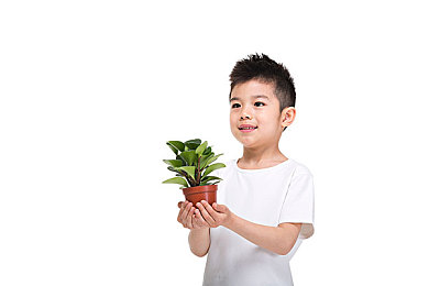 一级调色大片案例解析：《极限竞速：地平线5》摄影指南，手把手教你调出电影级赛车大片