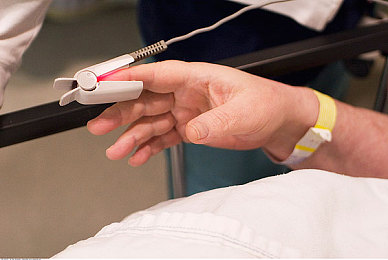 里番ACG  里番本子wwe：极限碰撞二次元狂飙领域，硬核赛车格斗引爆速度与力量对决