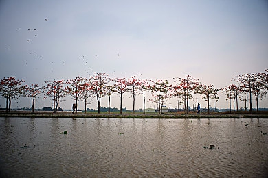 男生女生一起差差差的App：双心共驭，歧路同驰的极速协奏曲-2