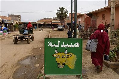 张柏芝殖器十二图片：极速幻影新资料片上线，十二张传奇改装图纸等你收集