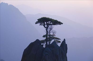 91在线吃瓜黑料：《极速狂飙：暗影对决》引爆话题，赛道隐藏彩蛋揭露开发趣事