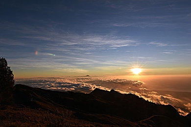 汤姆影院Tom友情提示音的使用方法：竞速新作颠覆传统，声音导航引领赛道革命今日上线