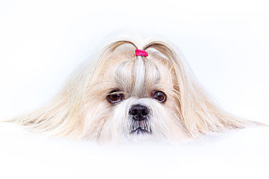 二人剧烈打补克：竞速对决新纪元，实时改装系统颠覆传统赛车游戏体验-2