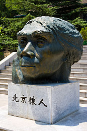 打扑克床上剧烈运动：极速谋略，卡牌驱动下的赛道狂想曲-2