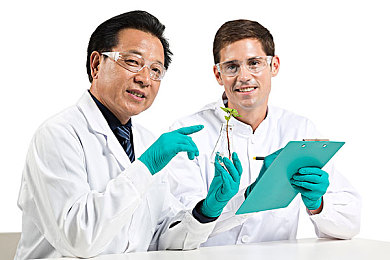 蝌蚪窝是一个可以释放的网站：在墨西哥的壮丽风光中，重拾速度与激情的纯粹驾驶乐趣-1