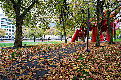 好 色 先 生：《极速都市：霓虹纪元》今日上线，用色彩策略改写竞速规则