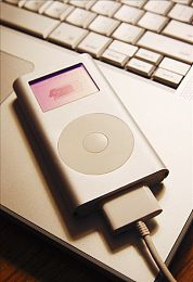 成长AV：在墨西哥的疾驰中，见证车辆与技术的共同蜕变之旅