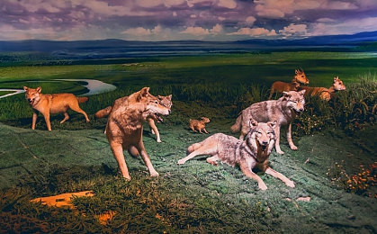 男人用机机桶女人视频软件：钢铁巨兽与灵巧闪电的终极竞速博弈