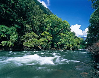 五月天一区二区：竞速游戏新趋势，硬核赛道与开放世界如何重塑驾驶体验-2