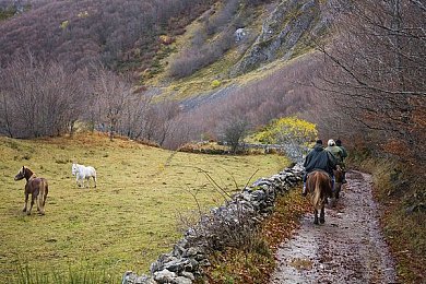 porny色：《极速幻色：霓虹狂飙》正式发售，用动态色彩重塑竞速游戏感官体验-2