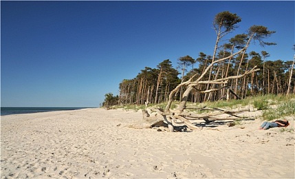 裸体护士性服务丰满：透明医疗中心伦理风暴，资本与人性的未来诊疗记录-2