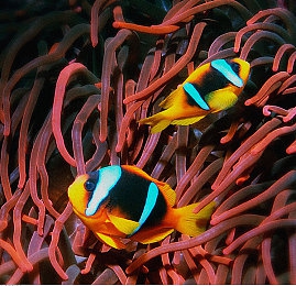 艾熙白老师第二部叫什么名字：传奇导师精神续作，极速师道全新开放世界赛道揭秘