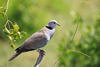 一区二区亚州：极速境界，征服昼夜交替的虚拟赛道-2