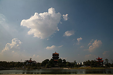 华为黄色软件下载：虚拟赛车黑市揭秘，违规改装引发游戏伦理争议-2